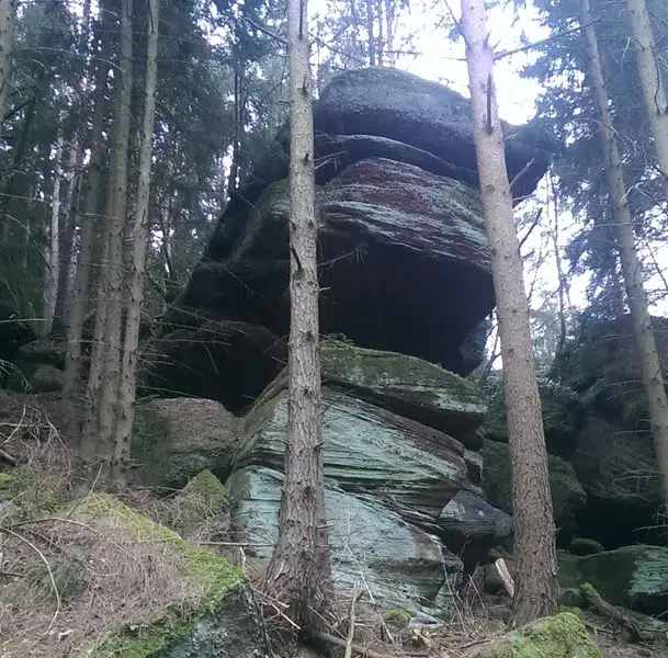 Formation rocheuse dans une forêt