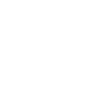 Illustration d'une forêt