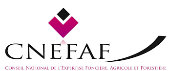 Logo du Conseil National de l'Expertise Foncière Logo du CNEFAF avec un symbole graphique